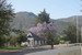  Oudtshoorn 