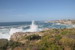  Hermanus 